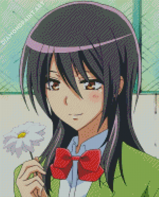 Misaki Ayuzawa Holding Flower Diamond Painting