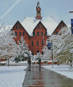 Montana State University In Winter 5D Diamond Painting