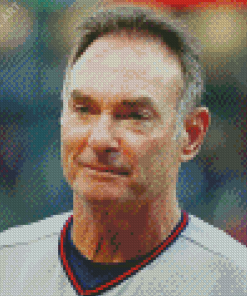 Paul Molitor Diamond Painting