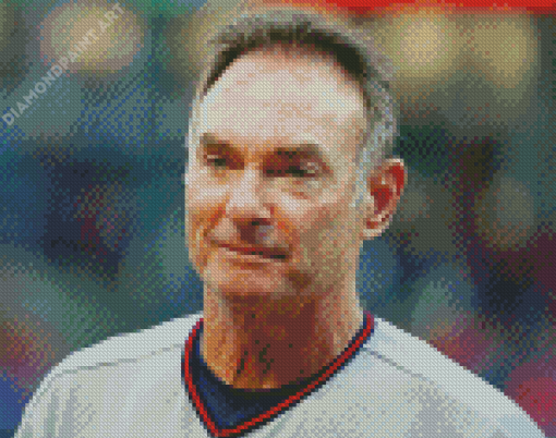 Paul Molitor Diamond Painting