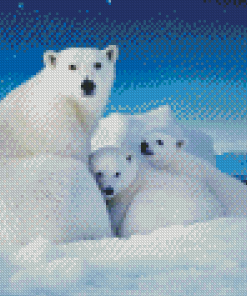 Polar Bear Cubs Diamond Painting