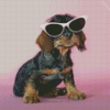 Puppy With Sunglasses Animal Diamond Painting