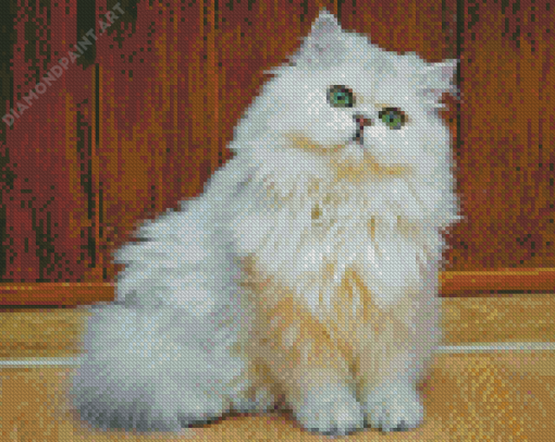 British Semi Longhair Diamond Painting