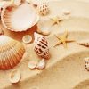 Sand And Seashells Diamond Painting