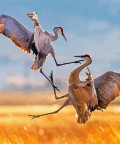 Sandhill Crane Fighting Diamond Painting