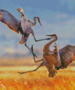 Sandhill Crane Fighting Diamond Painting