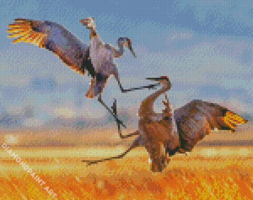 Sandhill Crane Fighting Diamond Painting