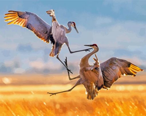 Sandhill Crane Fighting Diamond Painting