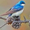 Swallow Bird 5D Diamond Painting