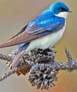 Swallow Bird 5D Diamond Painting