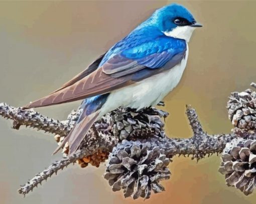 Swallow Bird 5D Diamond Painting