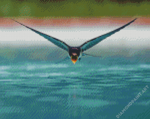 Swallow Bird Flying 5D Diamond Painting