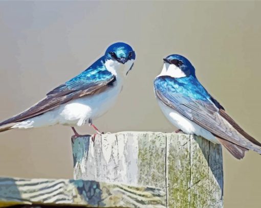 Swallow Birds 5D Diamond Painting