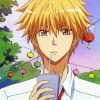 Takumi Usui From Kaichou Wa Maid Sama Diamond Painting