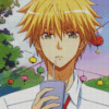 Takumi Usui From Kaichou Wa Maid Sama Diamond Painting