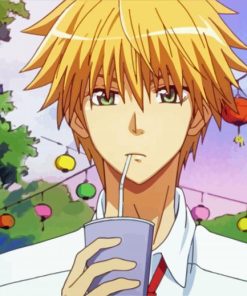 Takumi Usui From Kaichou Wa Maid Sama Diamond Painting