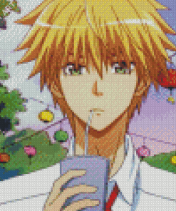 Takumi Usui From Kaichou Wa Maid Sama Diamond Painting