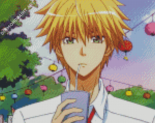 Takumi Usui From Kaichou Wa Maid Sama Diamond Painting