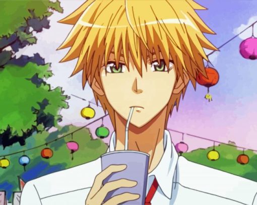 Takumi Usui From Kaichou Wa Maid Sama Diamond Painting