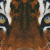 Tiger Eyes Diamond Painting