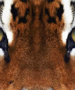 Tiger Eyes Diamond Painting