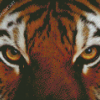 Tiger Eyes Animal Diamond Painting