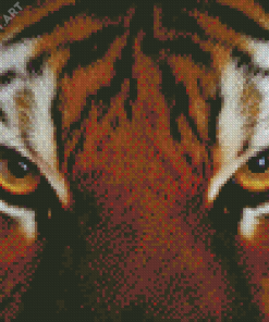 Tiger Eyes Animal Diamond Painting