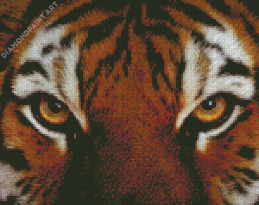 Tiger Eyes Animal Diamond Painting