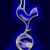 Tottenham Badge Diamond Painting