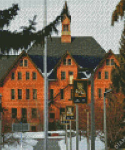 USA Montana State University 5D Diamond Painting