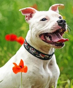 White Staffy Dog Diamond Painting