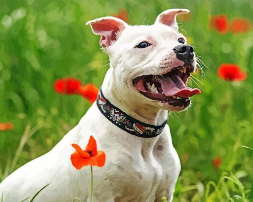 White Staffy Dog Diamond Painting