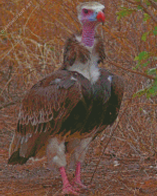 White Headed Vulture Diamond painting