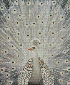 White Peacock Bird 5D Diamond Painting