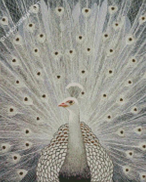 White Peacock Bird 5D Diamond Painting