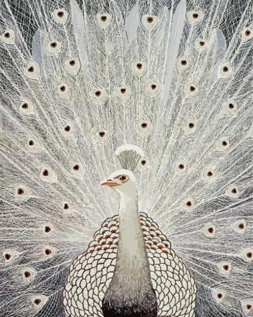 White Peacock Bird 5D Diamond Painting