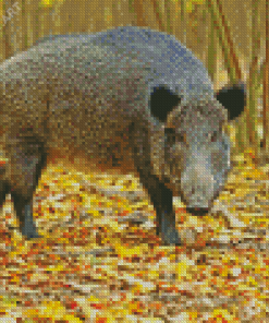 Wild Boar Diamond Painting