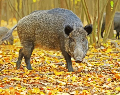 Wild Boar Diamond Painting