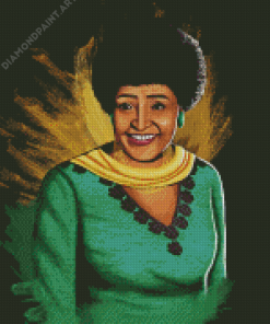 Winnie Mandela Art Diamond Painting