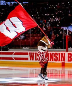 Wisconsin Badgers Hockey Diamond Painting