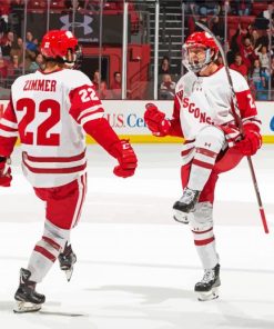 Wisconsin Badgers Men Hockey Players Diamond Painting