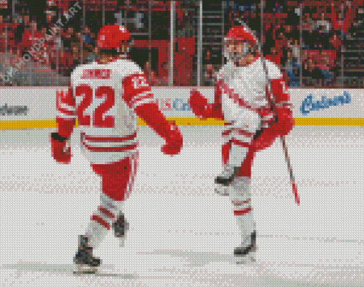 Wisconsin Badgers Men Hockey Players Diamond Painting