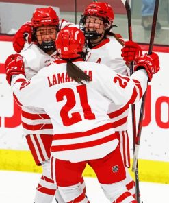 Wisconsin Badgers Women Hockey Players Diamond Painting