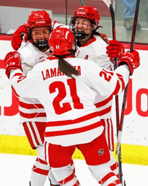 Wisconsin Badgers Women Hockey Players Diamond Painting