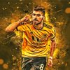 Wolverhampton Wanderers Player Diamond Painting