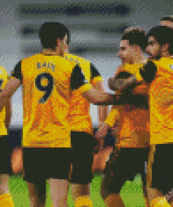 Wolverhampton Wanderers FC Diamond Painting