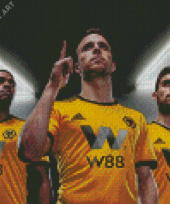 Wolverhampton Wanderers FC Players Diamond Painting