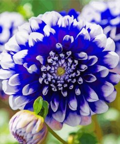 Aesthetic Blue Dahlia Diamond Painting