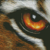 Aesthetic Tiger Eyes Art Diamond Painting