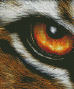 Aesthetic Tiger Eyes Art Diamond Painting